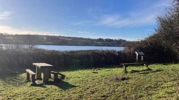 Weir wood lakeside